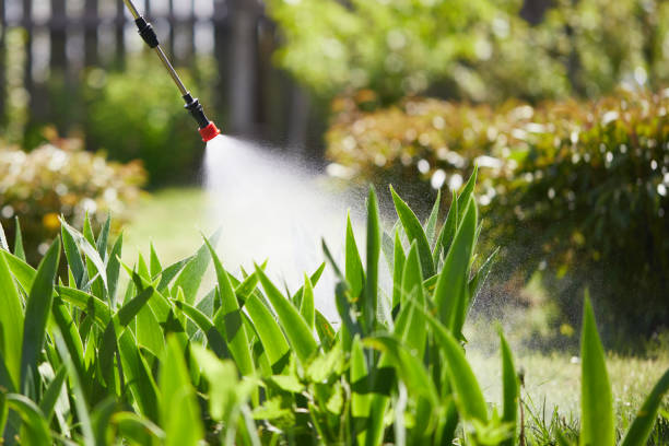 24/7 Emergency Fumigation Services experts in Grass Lake, MI