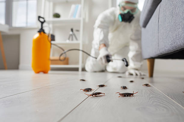 Trusted Bed Bug Control service in Grass Lake, MI - Nex Pest Control