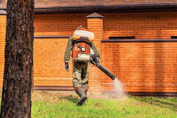 Trusted Ant Control service in Grass Lake, MI - Nex Pest Control